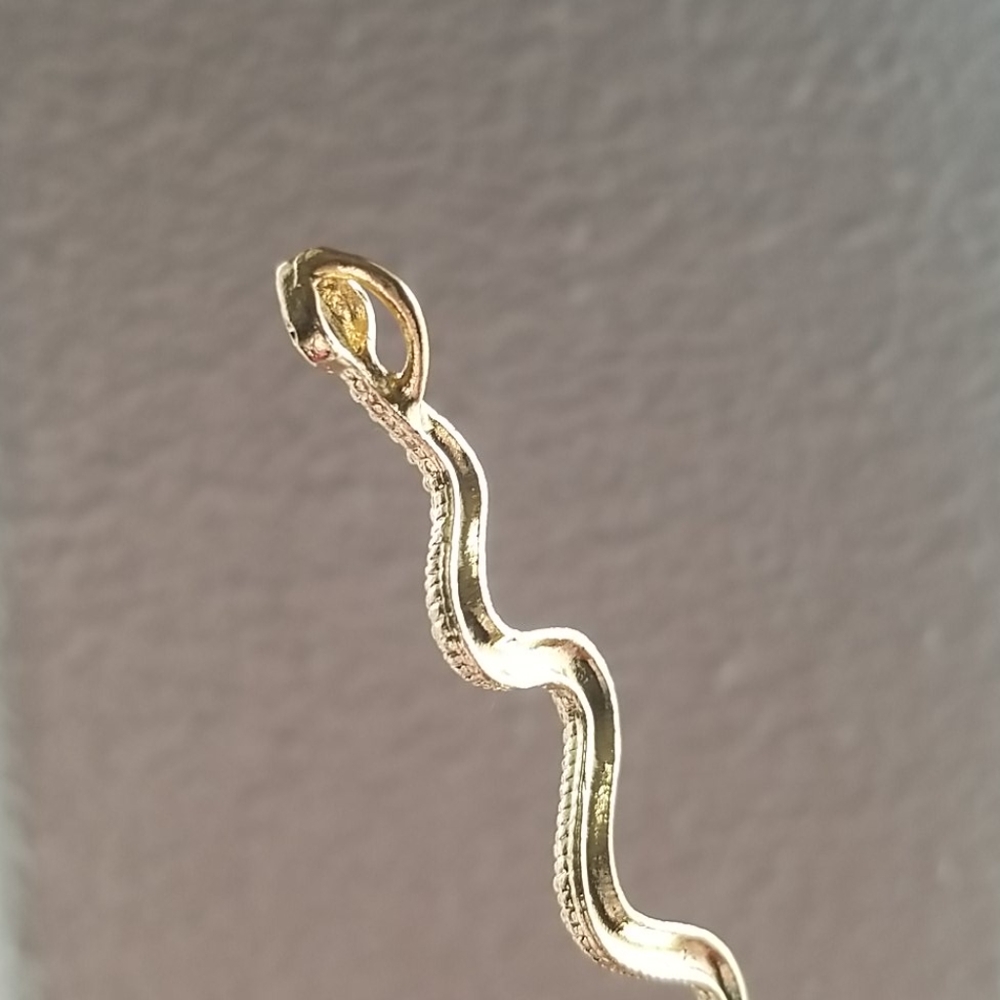 FREE Snake Charm - Picture 4 of 5